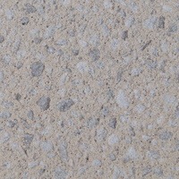 14020A-Heavy Sandblast Concrete Finish Color