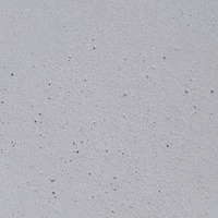 15500-Light Sandblast Concrete Finish Color